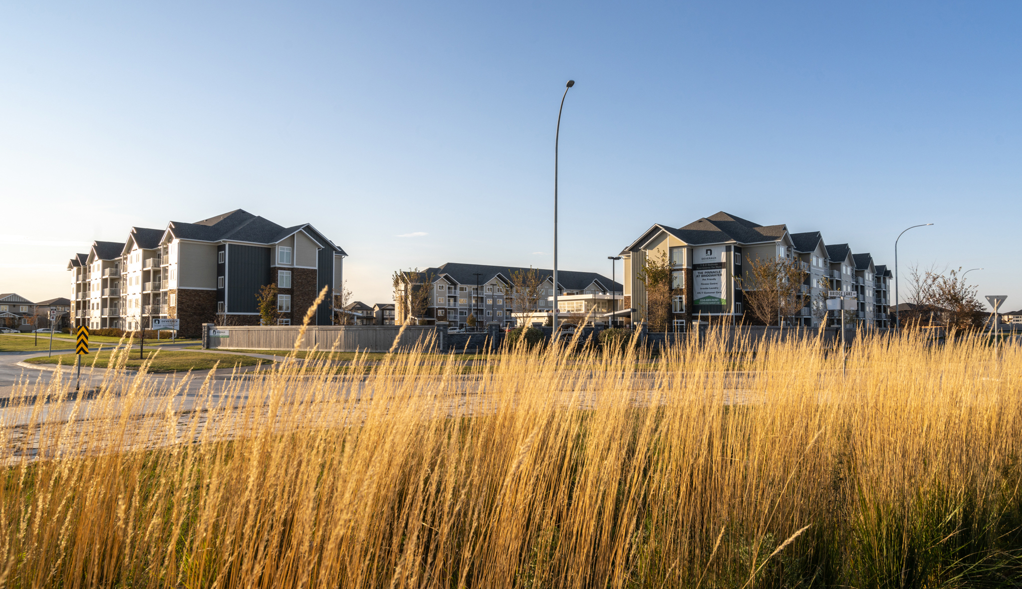 Image of three Deveraux apartment blocks from across the street. In the foreground, there is wheat blowing in the wind.