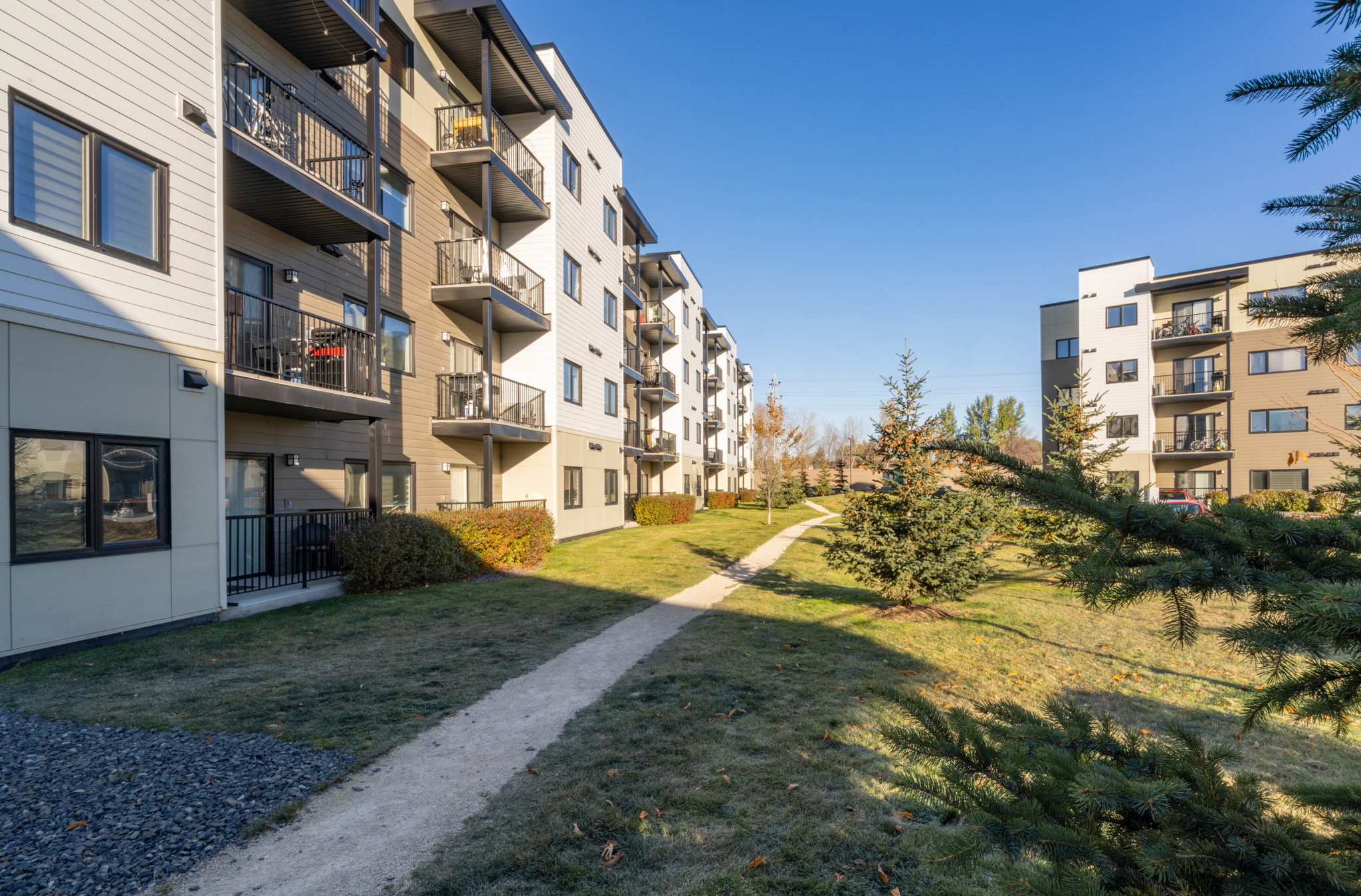 Image of the exterior of the apartment blocks, showing a gravel path that runs through the two buildings. There are trees and bushes lining the path.